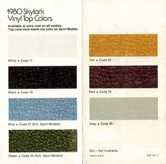 1980 Buick Skylark Colors-05-06.jpg